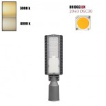 Farola LED 60W HALLEY BRIDGELUX Chip 140lm/W