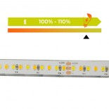 Tira LED 24V | 240xLED/M | 5m | SMD2025 | CCT | 10W/M | IP20